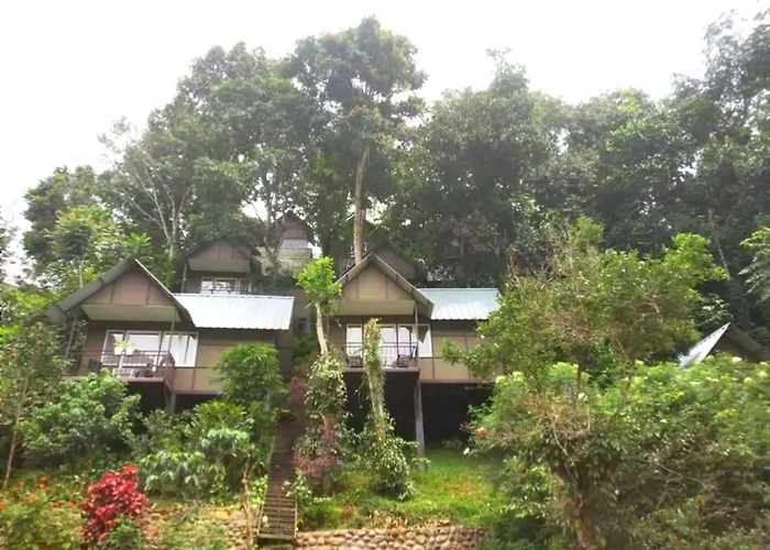 Holiday Cottages in Munnar