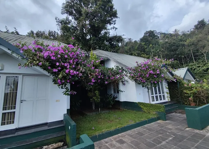Best Munnar Hotels For Families With Kids