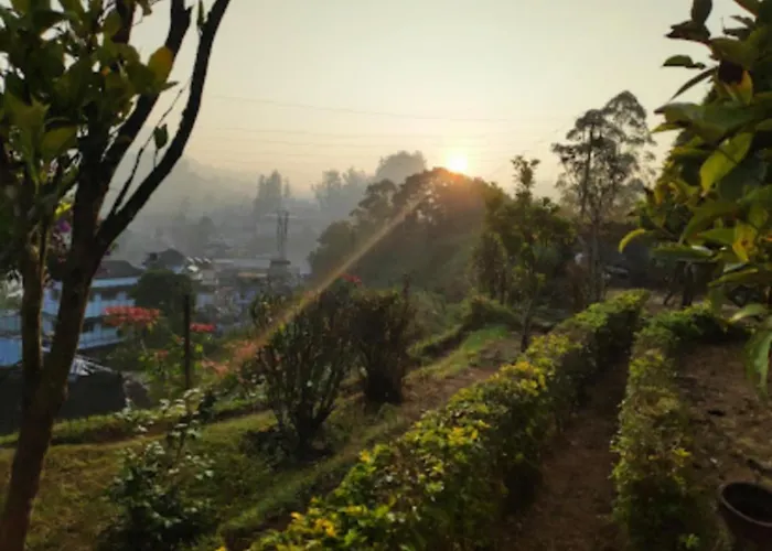 Munnar Guest Houses
