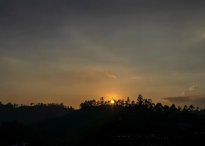 Munnar Beach hotels